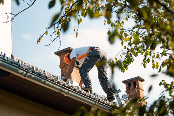 Best Sealant for Roof  in Frederic, WI